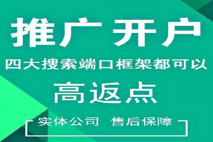 搜索引擎营销（SEM）竞价策略案例